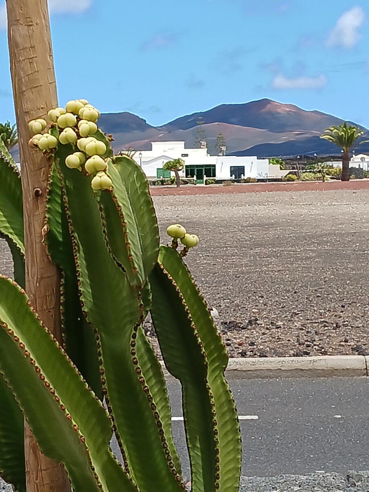Uga Casa Los Volcanes מראה חיצוני תמונה